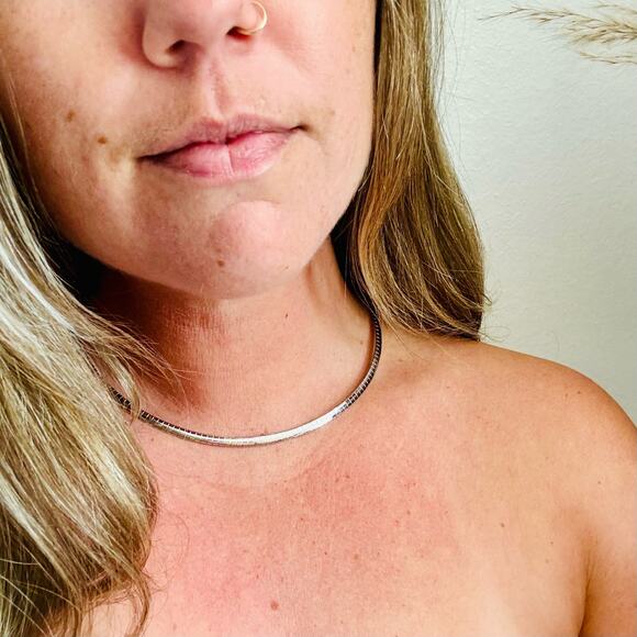 NEW NORDSTROM REVOLVE Silver Choker Omega Chain Link 5mm Necklace Jewelry Retro - Picture 2 of 10